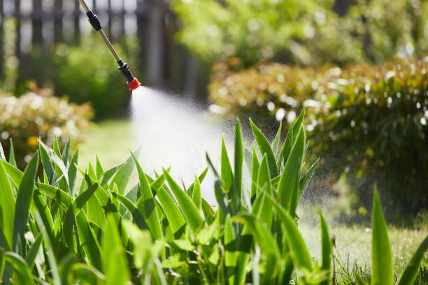 24/7 Emergency Mosquito Control experts in Rainier, OR