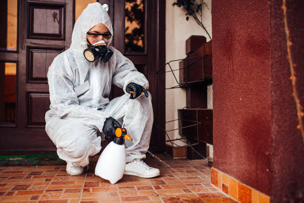 Reliable Mosquito Control contractor in Rainier, OR by Nex Pest Control