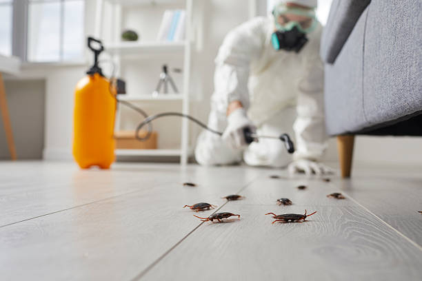 Trusted Mosquito Control service in Rainier, OR - Nex Pest Control