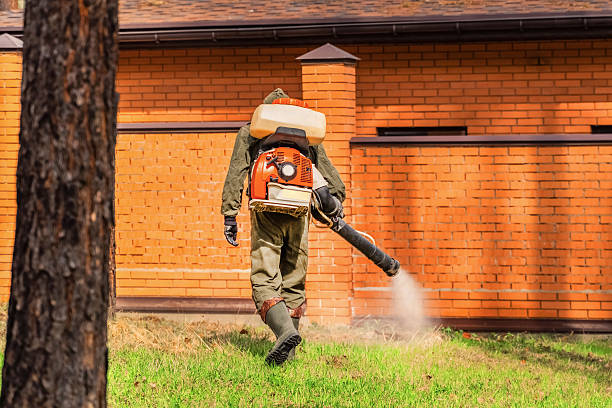 Trusted Rodent Control service in Rainier, OR - Nex Pest Control